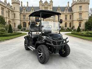 Carrito de Golf Compacto de 2 Plazas, Buggy Eléctrico de Fácil Control para Viajes por Playa y Resort, para Uso en Carreteras No Públicas - Product Image 2