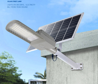 Haute luminosité 60W 100W haute Lux Dia coulée lampadaire solaire en aluminium avec support de bras de montage