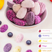 Nouvelle arrivée Snacks croquants populaires Saveur de noix de coco Fruits lyophilisés croquants Fraise myrtille mangue