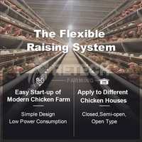 Système d'Équipement Avicole Automatique Type A pour Cages de Poules Pondeuses en Batterie
