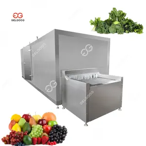 Maquinaria de producción industrial IQF Congelación de verduras Fruta Mariscos Túnel Máquina de congelador rápido