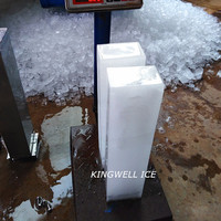 Machine à glace en blocs de 1 à 30 tonnes avec système de saumure pour l'Afrique, avec moule à glace en acier inoxydable