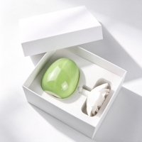 Diffuseur d'huiles essentielles en céramique parfumée écologique, plâtre aromatique, fleur en porcelaine faite à la main, parfum d'ambiance pour la maison