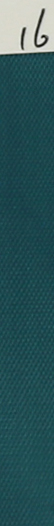 Paon Bleu