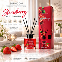 Luxe 120ml geurstokjes diffuser set met glazen fles en zwarte vezelstokjes voor private label groothandel