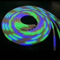 Bande lumineuse LED néon flexible tressée RGBIC adressable à 360 degrés, étanche IP67, avec CRI 90 élevé et fonction dimmable