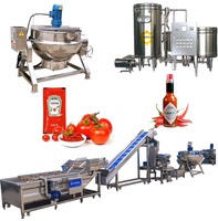Ligne de production de pâte de tomate en usine de purée de tomate ligne de production de sauce tomate 500 kg/h - 50 tonnes/h