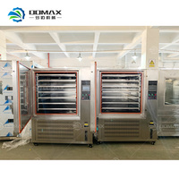 Machine de Fermentation d'Ail Noir de Type Conteneur / Chambre de Fermentation d'Ail Automatique en Acier Inoxydable de Haute Qualité