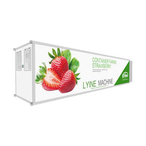 Contenedor Hidropónico Vertical Personalizado de 20 pies para Cultivo NFT con Controlador Inteligente y Control Remoto por WiFi para el Cultivo de Vegetales de Hoja - Product Image 6