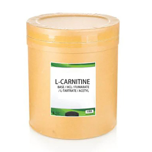 Mỹ kho trong kho <span class=keywords><strong>L</strong></span> <span class=keywords><strong>Carnitine</strong></span> Bột nguyên liệu 3000 tartrate orotate propionyl số <span class=keywords><strong>l</strong></span>ượng <span class=keywords><strong>l</strong></span>ớn Bột nguyên liệu <span class=keywords><strong>L</strong></span> <span class=keywords><strong>Carnitine</strong></span> bột Halal <span class=keywords><strong>L</strong></span>-<span class=keywords><strong>Carnitine</strong></span> - Product Image 4