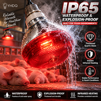 Ampoule chauffante infrarouge E27 étanche IP65 en verre de quartz anti-explosion pour porcelets, poussins et volailles 100W-275W