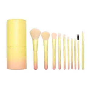 Novel Design Low Price Beauty Makeup Tools Cosmetic Brushes 10Pcs Color Changing Make Up Brush Set With Holder Bucket Case Bag