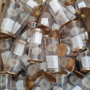 Fiori Eterni Conservati all'Ingrosso, Soffietti di Tarassaco per Composizioni Floreali e Decorazioni in Resina - Product Image 4