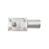 Moteur DC 370 personnalisé, 46 mm, double arbre plat, 20 kg.cm, mini réducteur à vis sans fin, 12 V, moteur à engrenages à aimant permanent brossé pour ventilateur