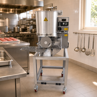 Nouvelle machine automatique de formage de galettes de hamburger YT, machine à galettes de burger commerciale, garantie 1 an pour les usines de restauration rapide, personnalisable