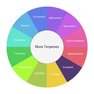 100%純粋シトラール、アロマケミカルシトラール、競争力のある価格のテルペンシトラール - Product Image 5