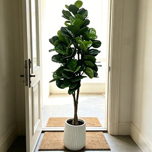 Árbol Artificial de Ficus Lyrata en Maceta Blanca para Decoración de Interiores, Hojas de Alta Simulación, Planta de Plástico - Product Image 4