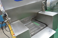 Injecteur automatique de saumure de poulet Machine d'injection de saumure de boeuf Machine d'injection de solution saline de viande de poisson