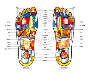 Masajeador eléctrico de reflexología infrarroja para pies, nuevo masajeador de spa para pies - Product Image 6