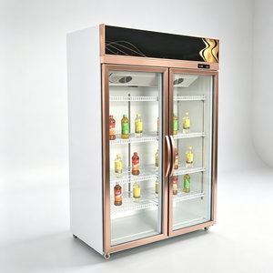 Vitrine réfrigérée à double porte vitrée, refroidie par air, pour boissons, réfrigérateur vertical pour supermarché, idéal pour l'affichage de jus, de lait et de toutes les boissons - Product Image 1