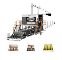 Kotak telur mesin piring karton limbah kertas Pulp Molding lini produksi daur ulang mesin pembuat baki telur
