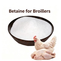 Betaine hydrochloride de qualité alimentaire HS 96%-98% pour poulets de chair : Réduit la graisse abdominale et optimise la forme de poudre de méthionine