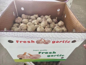 Ajo Blanco Fresco de Alta Calidad para Exportación, Empacado en Caja, Precios de Ajo Fresco Chino, Vegetales, Ali Alho - Product Image 4