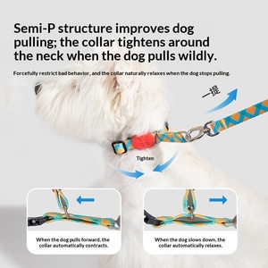 Halb-Restriktives Anti-Zug Hundehalsband Trainingshalsband mit Verstellbarer Kontrolle für Kleine Hunde Anti-Würge-Design Farbenfroh - Product Image 2