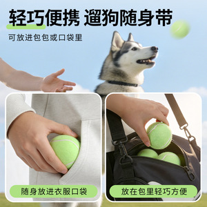 Jokiten Pet Tennis Balls 3 Pack <b>Throwing</b> Toy For Dogs Interactive <b>Outdoor</b> Play - Product Image 5