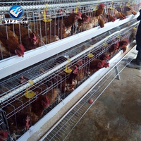 YIZE De couche De Poulet cages Offre Spéciale au Ghana Avec accessoires complets et potable automatique d'alimentation