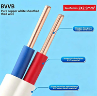 Câble électrique plat basse tension BVVB 2/3 conducteurs en cuivre massif, fil isolé sûr pour prises domestiques et éclairage intérieur