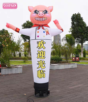 Décoration gonflable publicité extérieure bras de vague danse vent décoratif bras ondulé tube de danse BBQ cochon danseur d'air