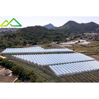 Hotsales grote multi-span PE enkellaags polyfolie kas voor commerciële tomaten- en aardbeienteelt