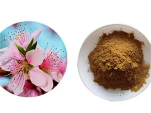 ผงผสมเกสรพีชคุณภาพส่งออก - จัดส่งรวดเร็วสำหรับการผสมเกสรในสวนพีชเชิงพาณิชย์ - Product Image 3