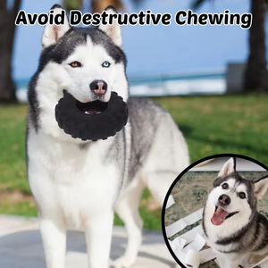 <span class=keywords><strong>AFP</strong></span> özel dinozor köpek çiğnemek oyuncak-agresif Chewers ve diş sağlığı için TPR lastik top ile Bite dayanıklı peluş - Product Image 3