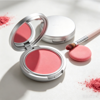 Stick de blush minéral mat longue tenue, waterproof, luxe, pour peaux claires, 10g, maquillage quotidien