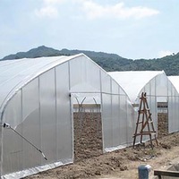 Serre Agricole à Structure Métallique pour Horticulture, Serre Tropicale, Prix