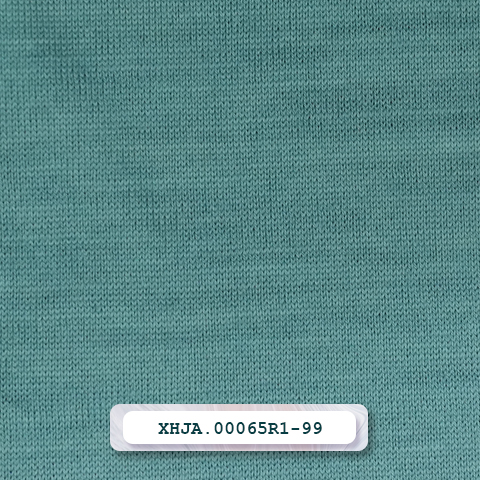 XHJA.00065R1-99