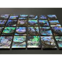 Coquille d'ormeau naturelle CrystalHola, rectangulaire, 12x16mm, polie, plate, DIY pour décorations en cristal