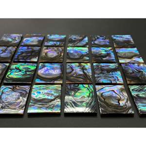 Natural <b>Abalone</b> <b>Shell</b> Rectangle 12x16mm Flat For Crystal Decorations - Product Image 2