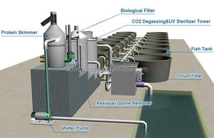 SDM Büyük Boy Yetiştirme Köpekbalığı Yüzgeci Balık Tankı İnşaatı PVC+Galvanizli Çelik Yüksek Yoğunluklu Yetiştirme 2m-30m Boyutlarında İç/Dış Mekan Kullanımı İçin - Product Image 5