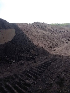 Améliorant de sol et substrat de culture de qualité supérieure, traité et prêt à l'emploi, en forme solide, à base de charbon organique traité, écologique - Product Image 4