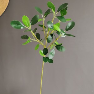 สเปรย์ <span class=keywords><strong>Ficus</strong></span> สีเขียวมันวาวเทียมใบใบ <span class=keywords><strong>Ficus</strong></span> สีเขียวแบบเต็มตัว - Product Image 4