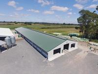 Pré-conçu structurel agriculture métal ferme ovine laitière structure en acier chèvre hangar maison hangar agriculture