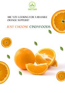 Jeruk Australia Kaya Vitamin C |   Jeruk Segar Premium Tanpa Biji |   Standar Organik Perdagangan Internasional Massal