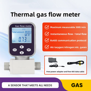 Medidor de Vazão de Gás Térmico com Display Digital RS485 500 L/min para Ar Comprimido, Nitrogênio, Oxigênio, Argônio com Sensor de Boia e Controlador - Product Image 5