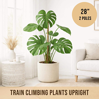 Soporte para Plantas de Fibra de Coco Ecológico, Color Marrón Natural, para Plantas Trepadoras de Jardín y Monstera