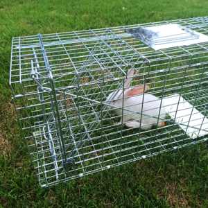 Pieghevole in metallo con gabbia di animali vivi trappola umana Catch gatto trappola gabbia per coniglio cane volpe - Product Image 2