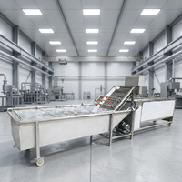 Multifunctionele automatische groentewasmachine met motor en pomp voor de verwerking van wortelen, fruit en maïs in verwerkingsbedrijven