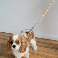 Correa para Perro Ajustable Manos Libres 4 en 1 de Poliéster Recubierto de PVC con Liberación Rápida, Accesorios de Moda Personalizables con Dijes